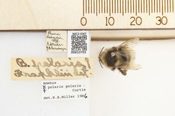 Media type: image;   Entomology 810793 Aspect: labels